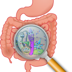 flaxseed oil for constipation